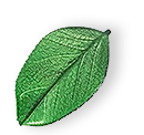 https://citrus-breeze.com/wp-content/uploads/2025/07/floating_leaf_01.png